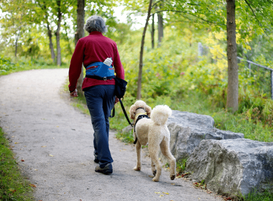 The Benefits of Pets for Seniors